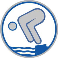 schwimmabzeichen silber